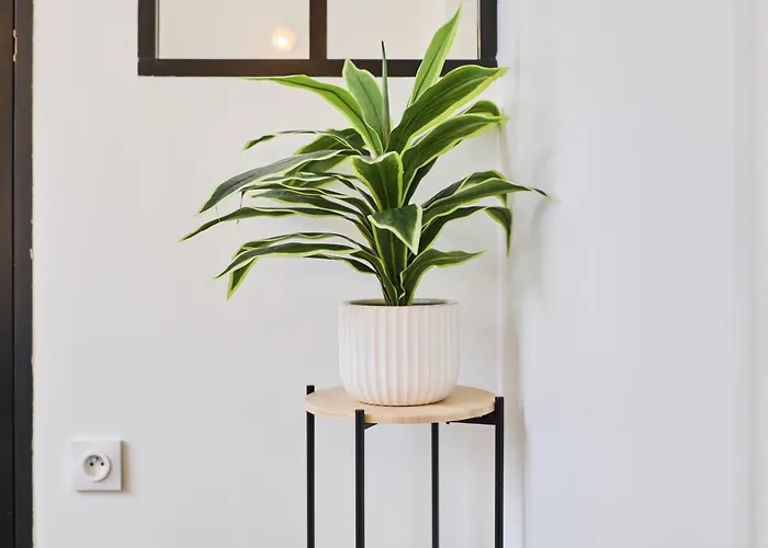 Le Romain, Gare, Hyper-centre, Terrasse Appartamento *